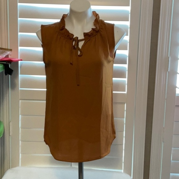 Elegant Ruffled Sleeveless Blouse - Brown - Picture 1 of 8